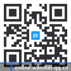 系统版 iOS 二维码